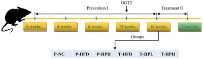 Integrated 16s RNA sequencing and network pharmacology to explore the effects of polyphenol-rich raspberry leaf extract on weight control